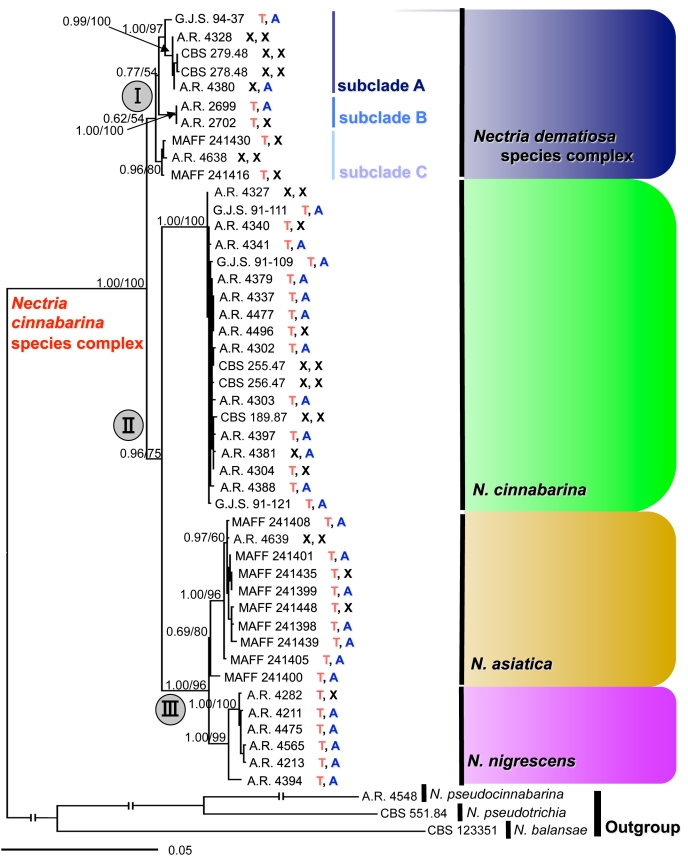 Fig. 2.