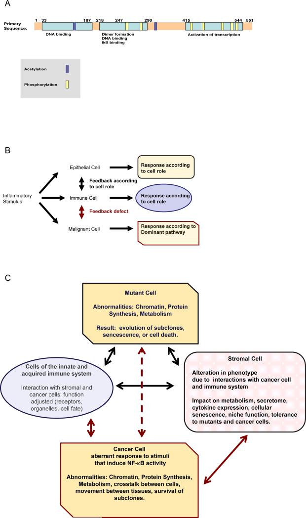 Fig.1