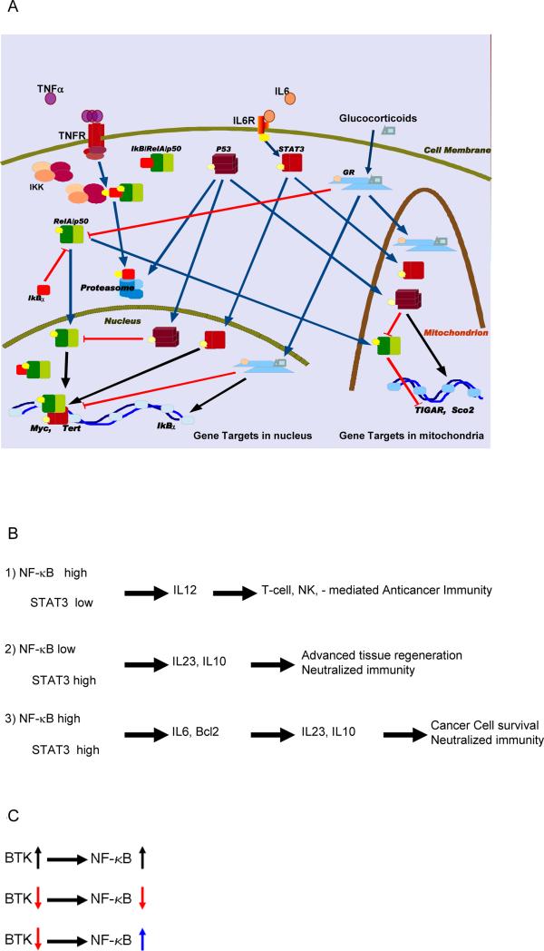 Fig.3