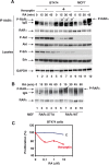 Fig 10