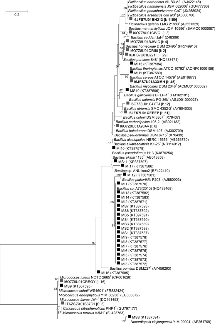 Fig. 6