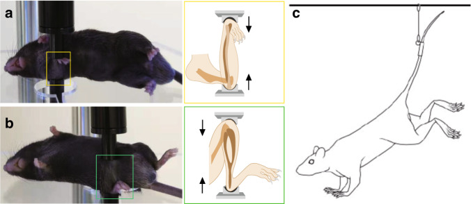 Fig. 2