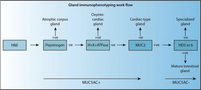 Supplementary Methods Figure 1