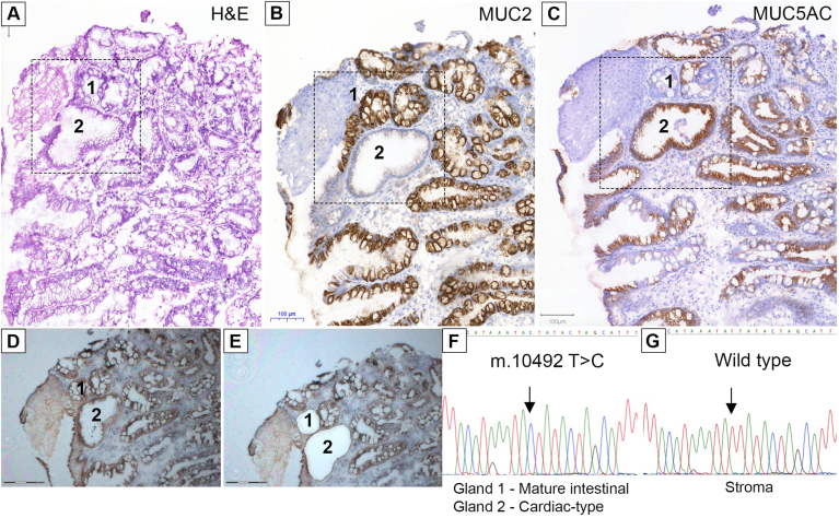 Figure 3