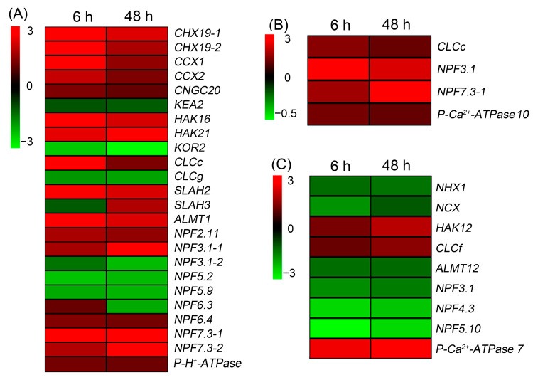 Figure 7