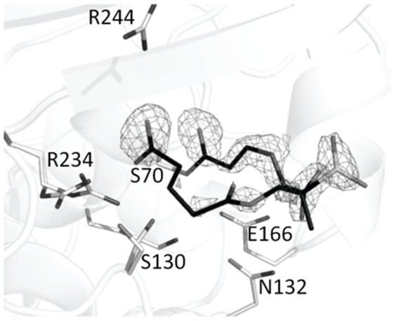 Figure 6