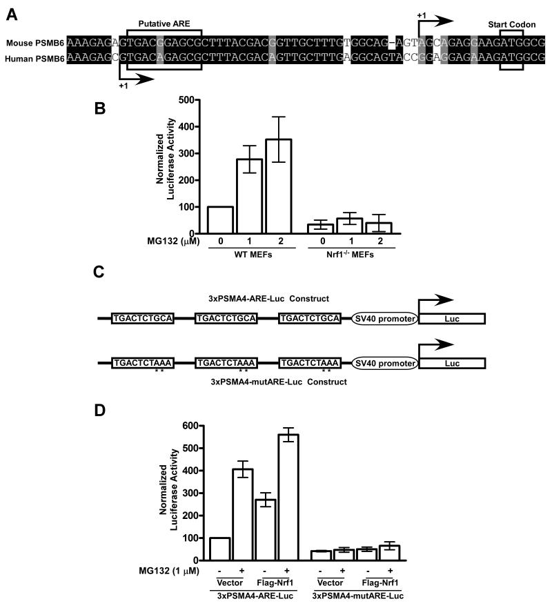 Fig 5