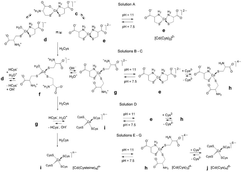 Scheme 2