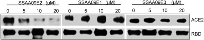 Fig 5