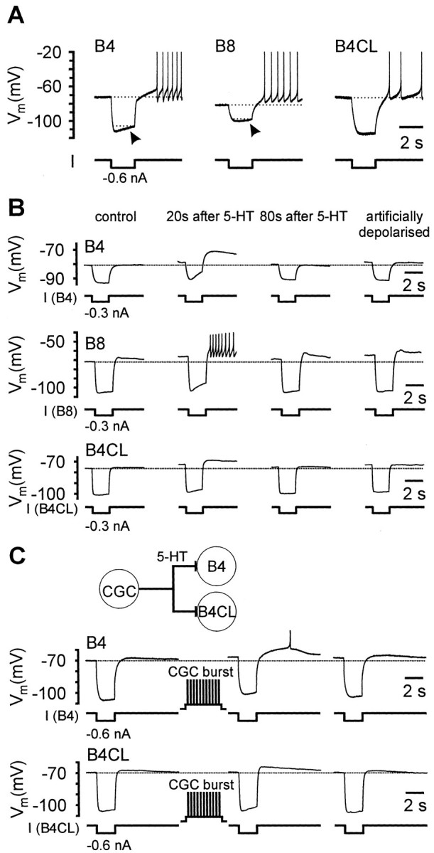 Fig. 5.