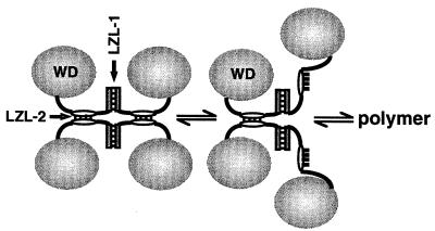 FIG. 7