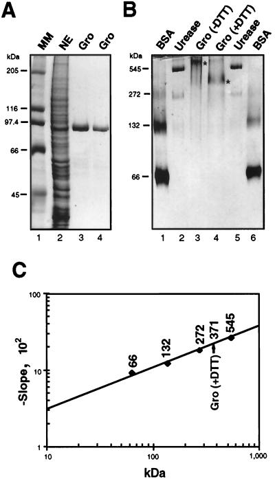 FIG. 1