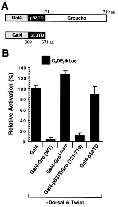 FIG. 6