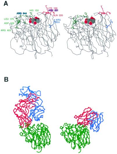 FIG. 4.