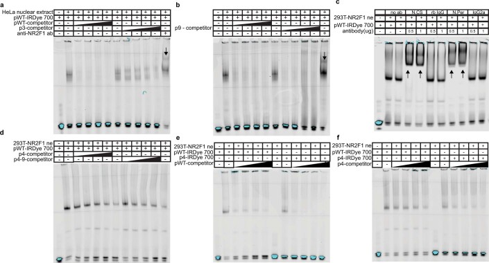 Extended Data Fig. 4