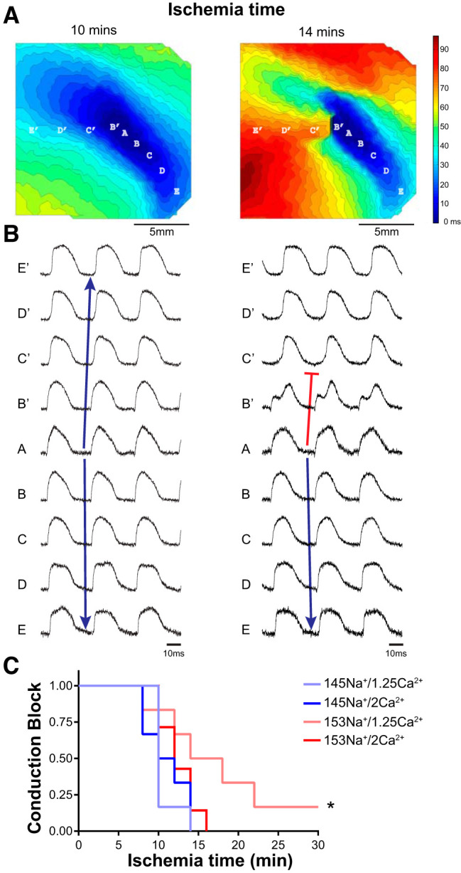 Fig. 2.