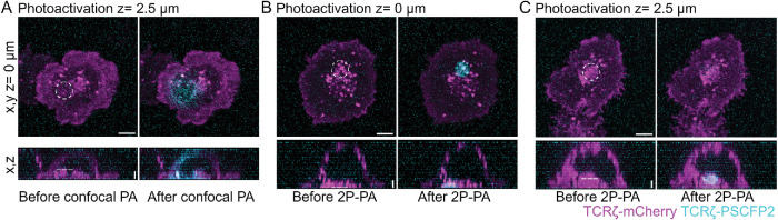 FIGURE 3: