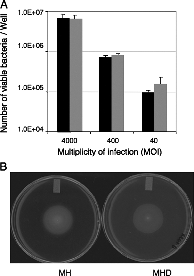 FIG. 1.