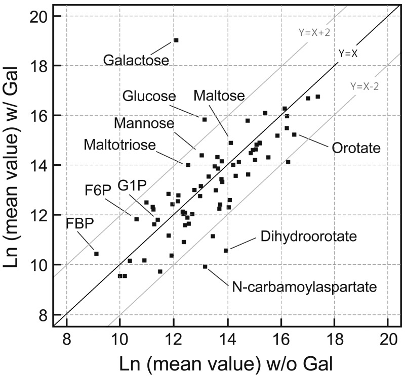 FIG 3 