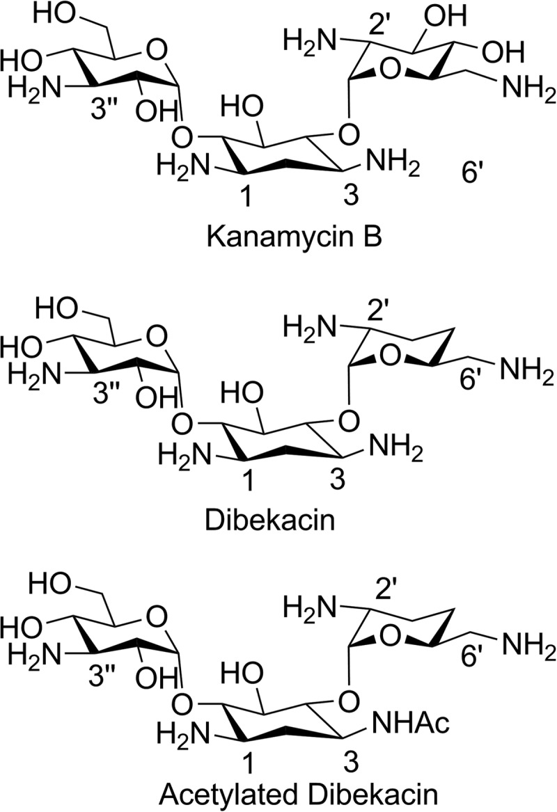 FIG 1