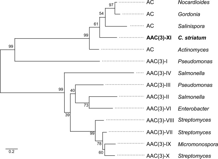 FIG 3