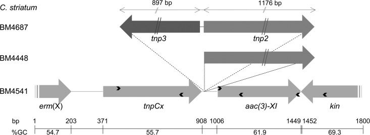 FIG 2