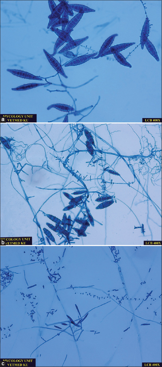 Figure-3