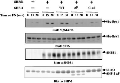 FIG. 8