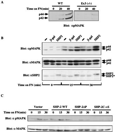 FIG. 7