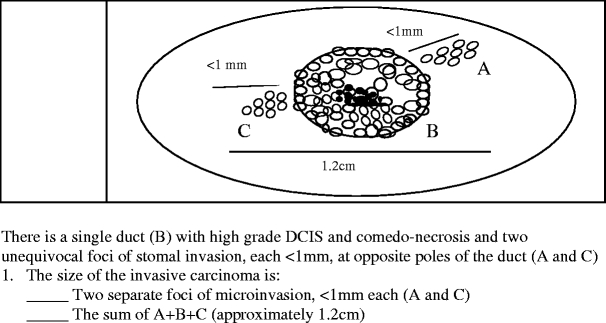 Fig. 5