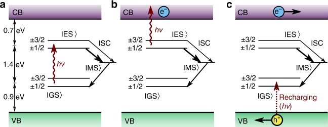 Fig. 1