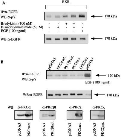 FIG. 8