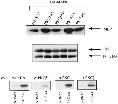 FIG. 6