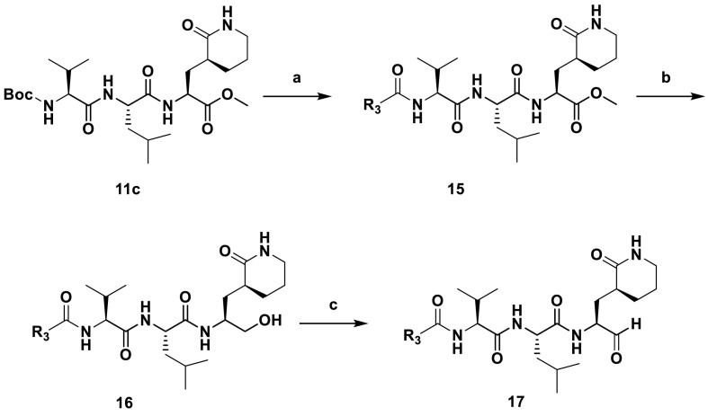 Scheme 3