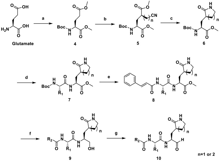 Scheme 1