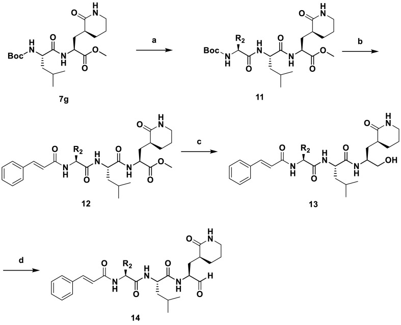 Scheme 2