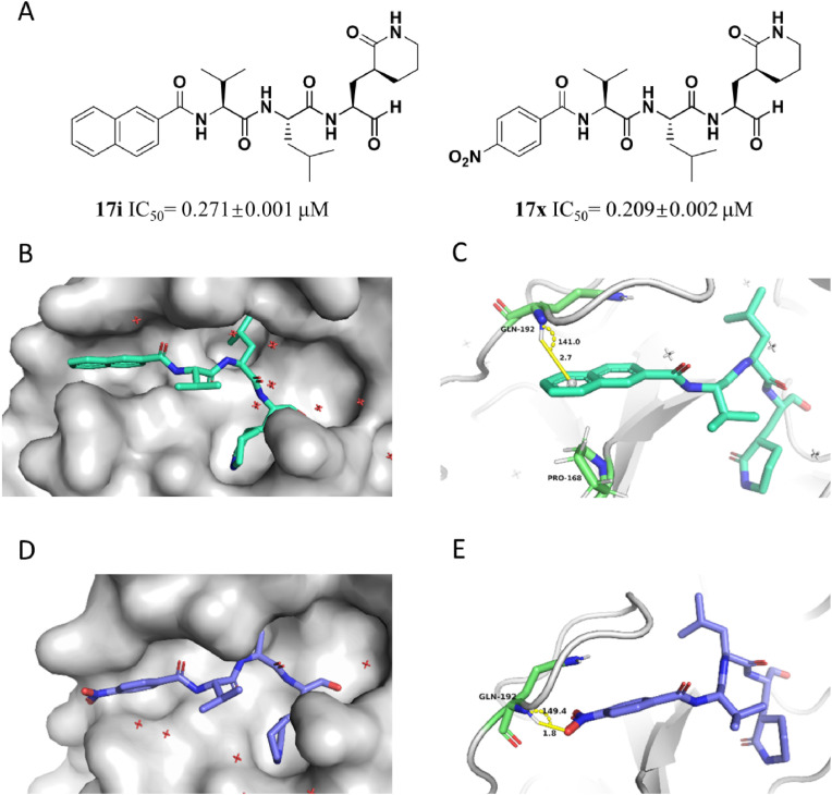 Fig. 6