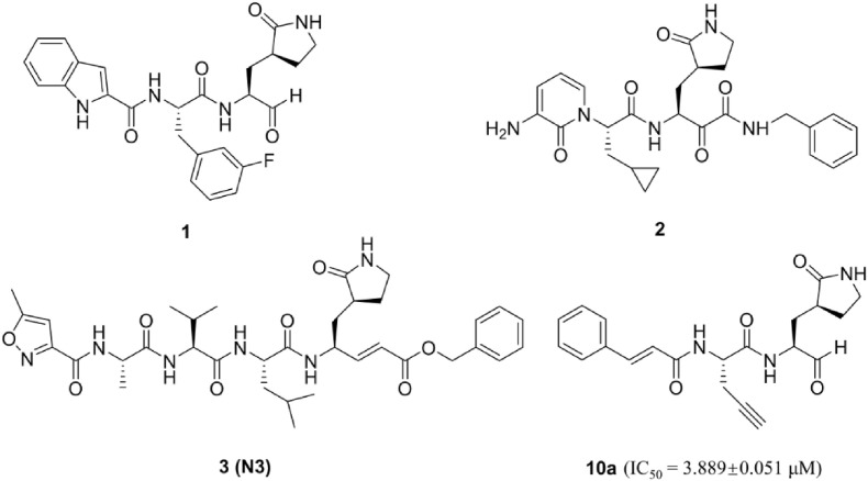 Fig. 1