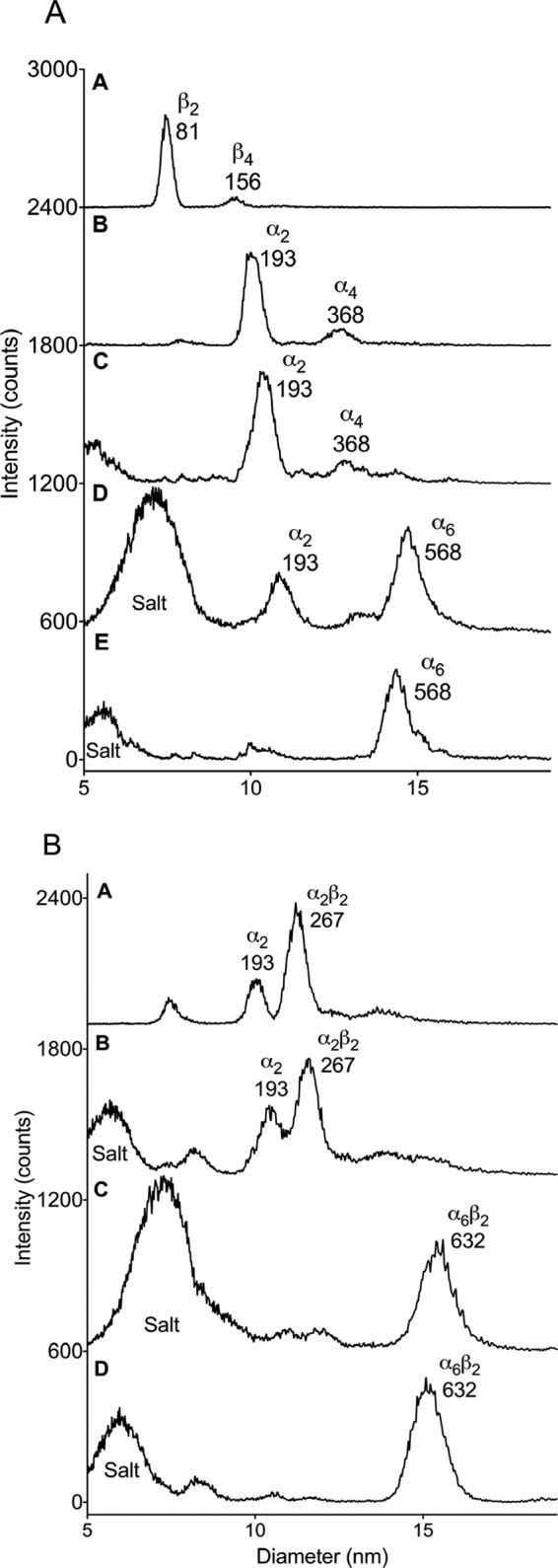 FIGURE 4.