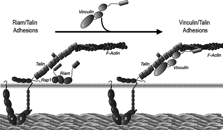 FIGURE 7: