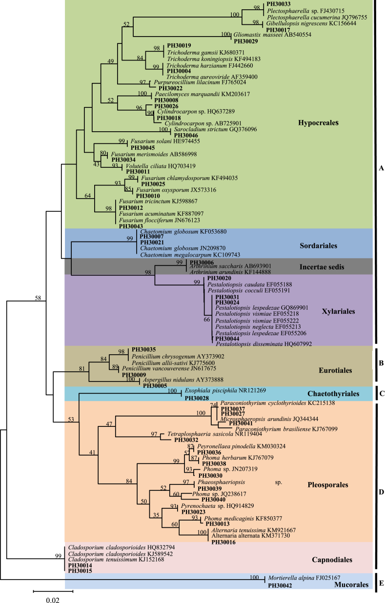 Fig. 3