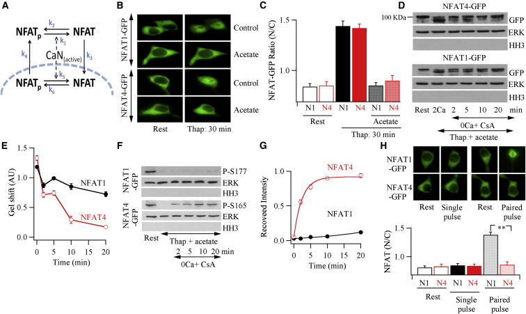 Figure 6