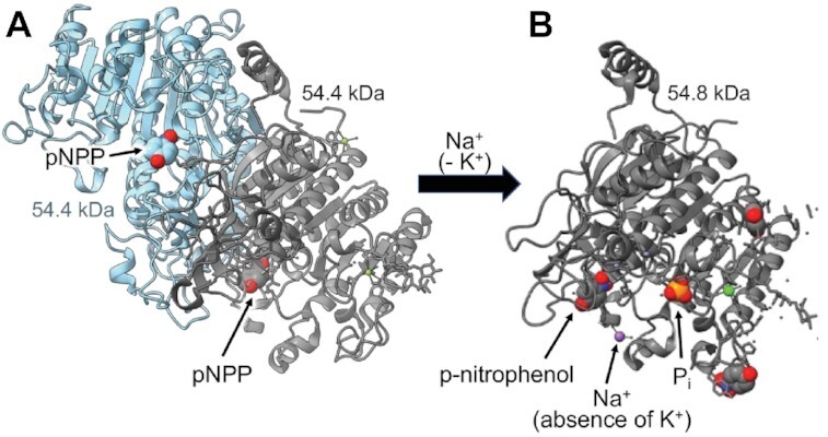 Figure 5.