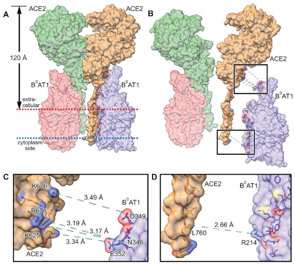 Figure 4.