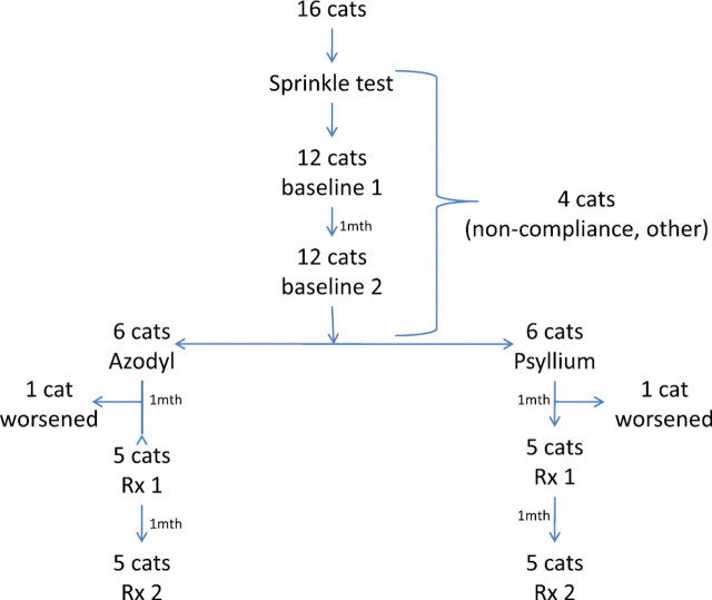 Fig 1.