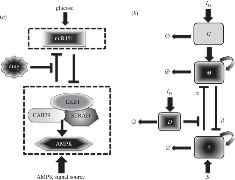 Figure 1.