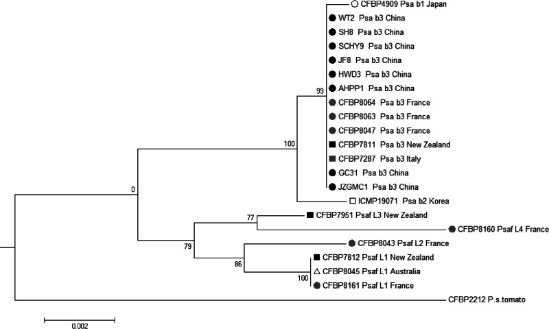 FIG 1