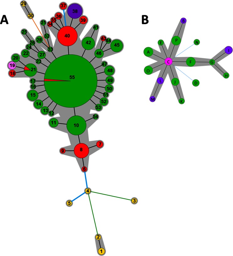 FIG 4