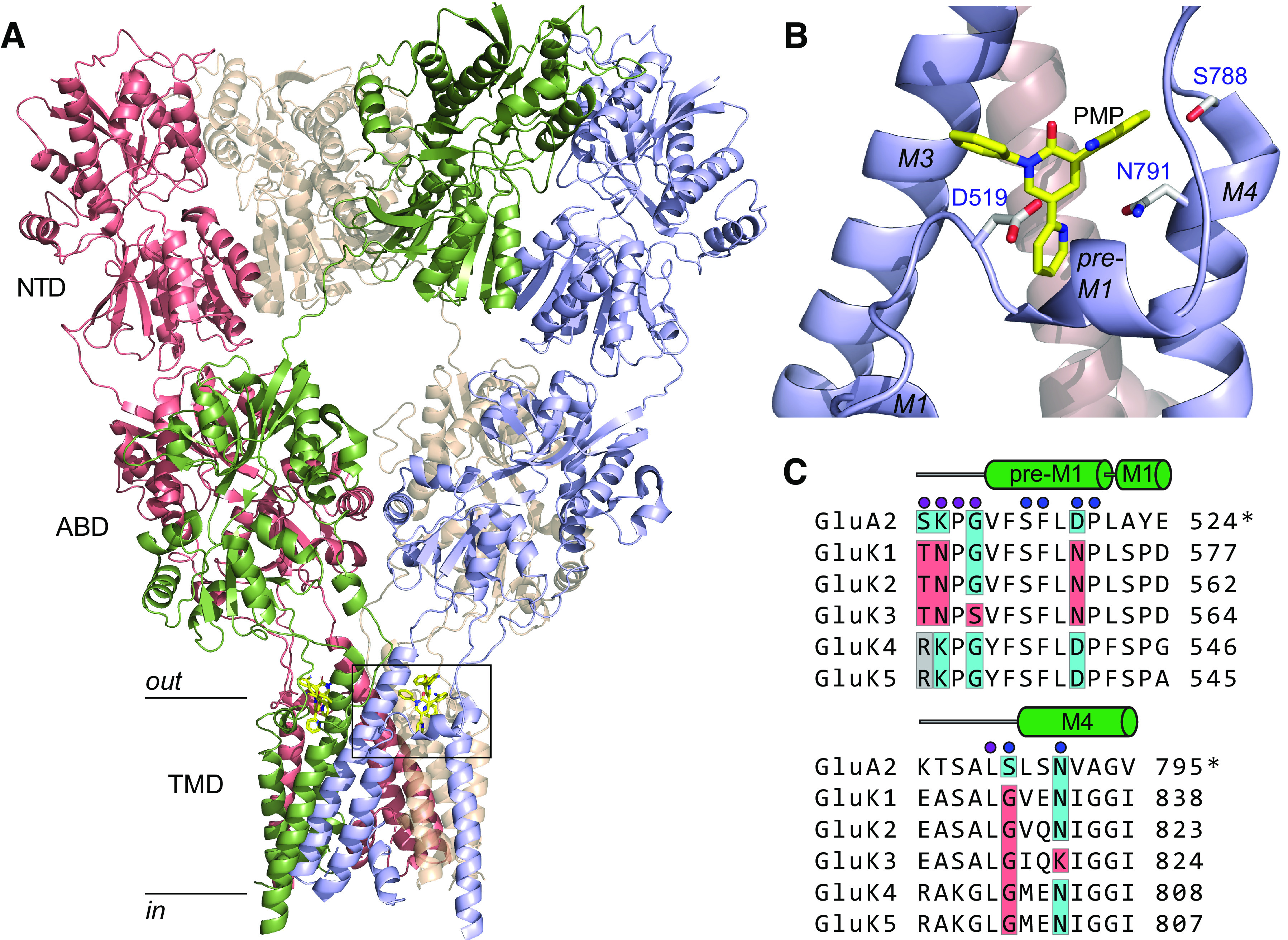 Figure 1.