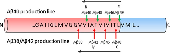 FIGURE 2.